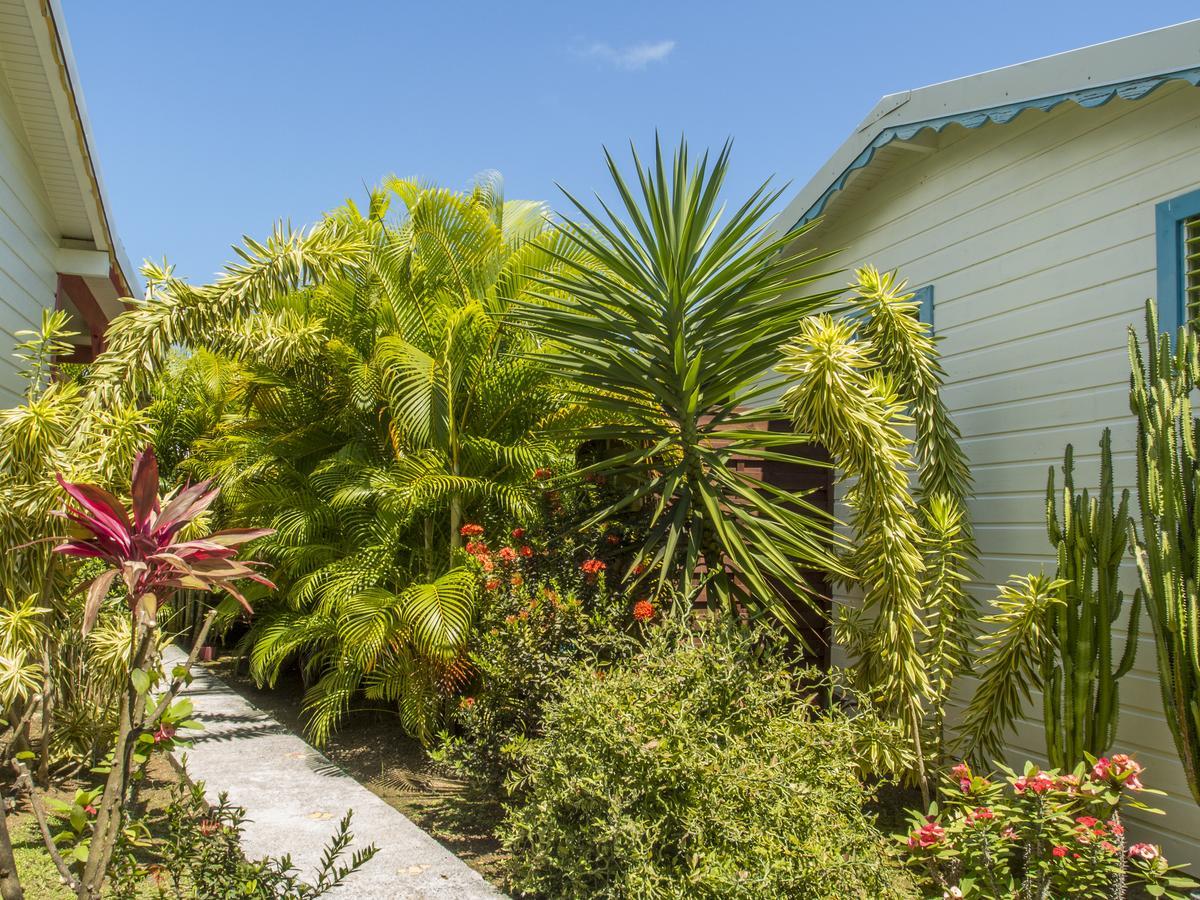 Coco Bungalows Sainte-Rose Eksteriør bilde