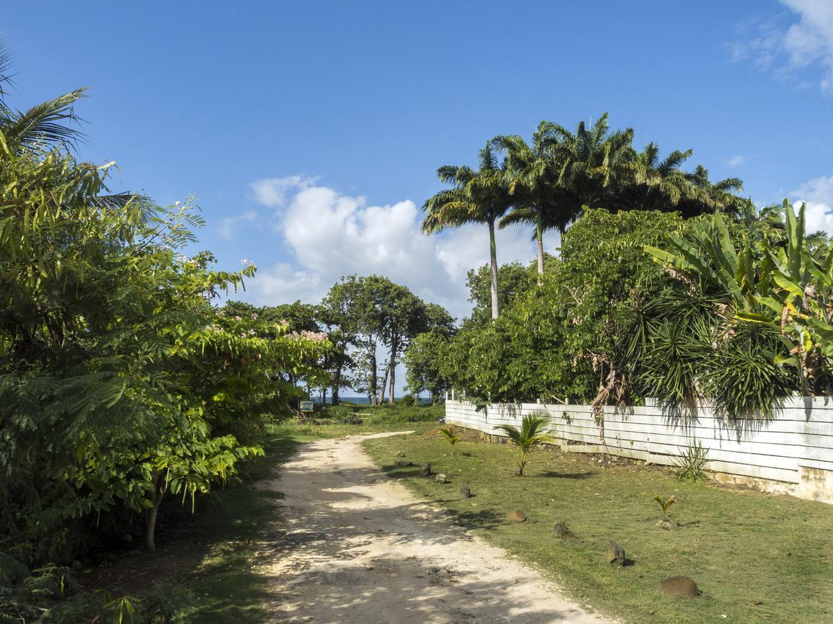 Coco Bungalows Sainte-Rose Eksteriør bilde