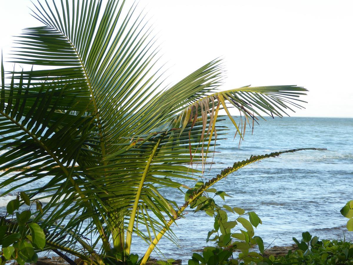 Coco Bungalows Sainte-Rose Eksteriør bilde